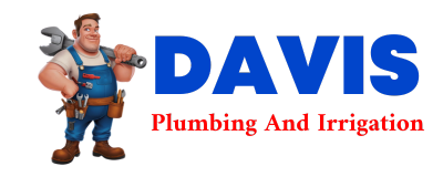 Trusted plumber in LAWLER